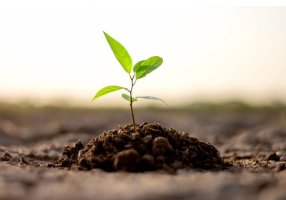 Let's start with a small step!