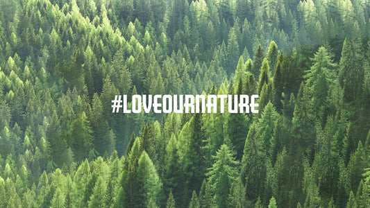 【 INNOTIER | Love Our Nature 】