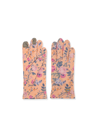 Antiviral InnoTouch Daily