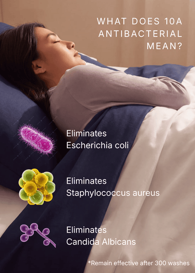 Antiviral Travel Sleep Set