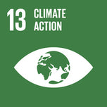 climate action.jpg__PID:c6f30191-3d38-4c7d-ae83-f957d797daa0