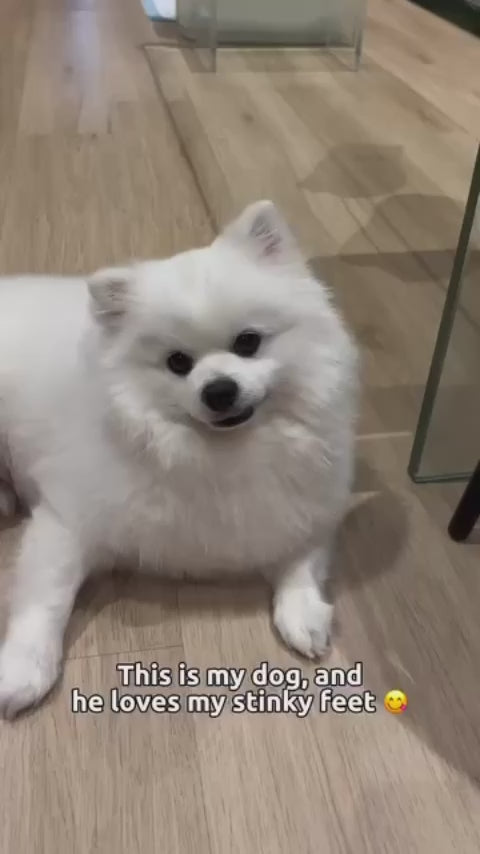 載入影片： 