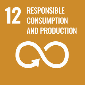 responsible consumption and production.jpg__PID:39663fbf-4e8a-4def-bf0c-656c727e2797